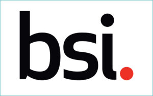 Logo depicting a company accredited by The Cyber Scheme called BSI