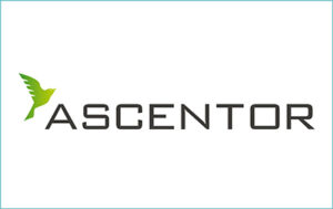 Logo depicting a company accredited by The Cyber Scheme called Ascentor