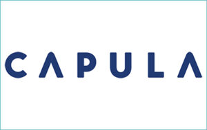 Logo depicting a company accredited by The Cyber Scheme called Capula