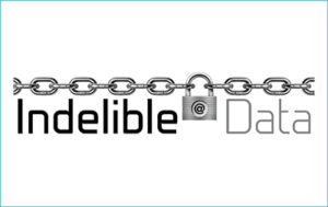 Logo depicting a company accredited by The Cyber Scheme called Indelible Data