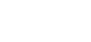 the cyber scheme logo white